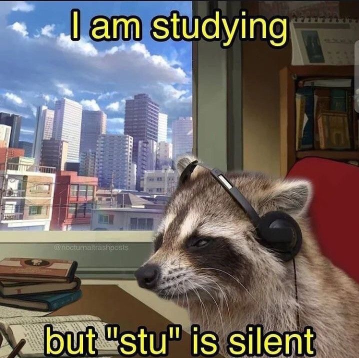 I am studying but dthe 'stu' is sylent